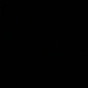 Meet your Posher, Mia